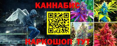 прущие грибы Тула