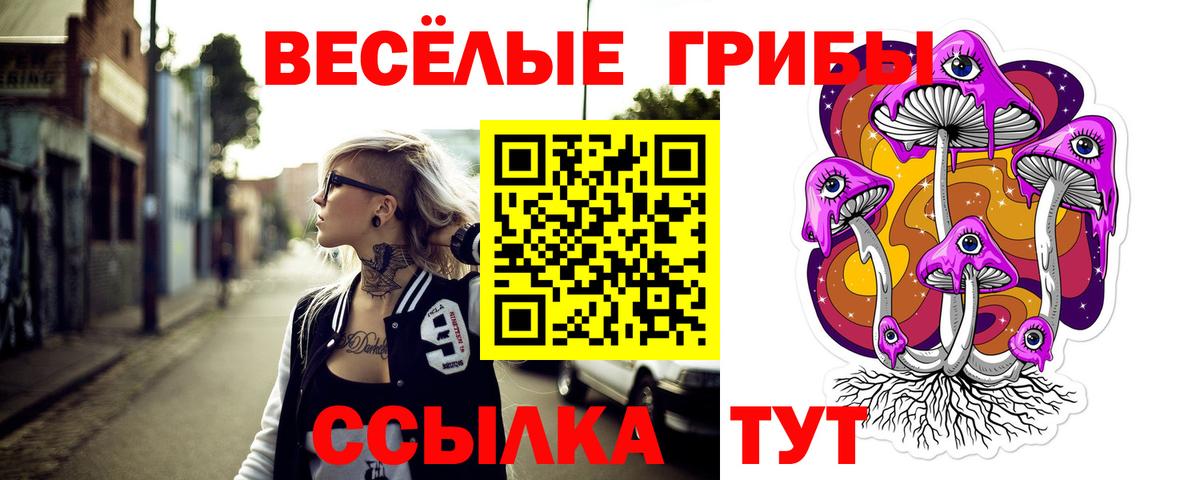 Псилоцибиновые грибы Psilocybine cubensis  Вход с VPN  Сыктывкар 
