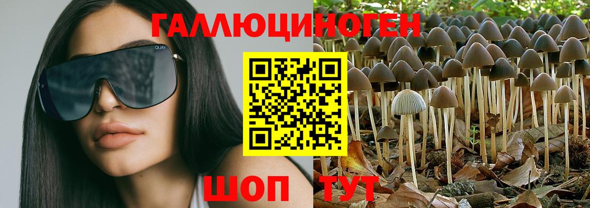 Псилоцибиновые грибы Magic Shrooms Сыктывкар